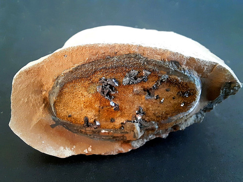Sphalerit mit pyrit - sphalerit, fo