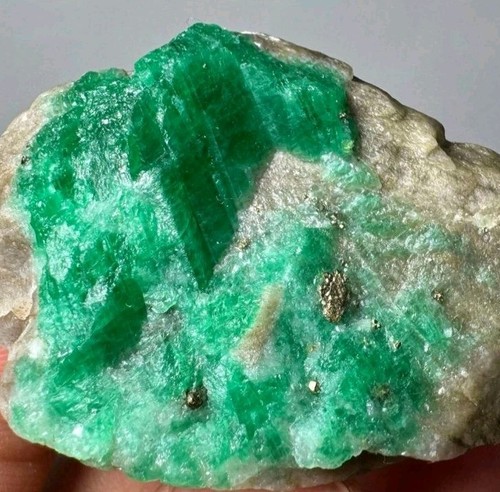 185 wunderschöne grün - 185,