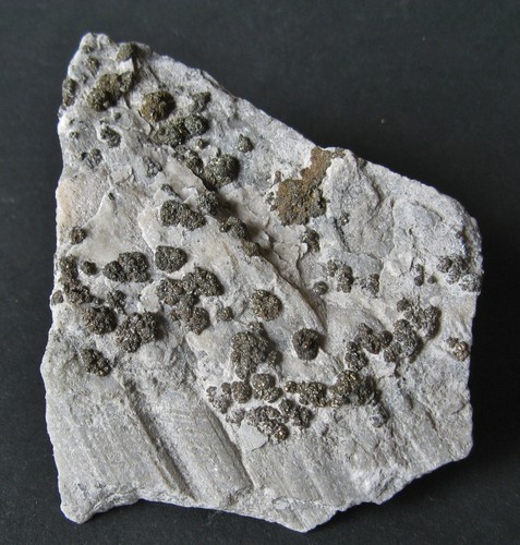 Pyrit auf kalkstein - pyrit,