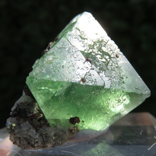 Mineralien rare fluorit - mineralien,