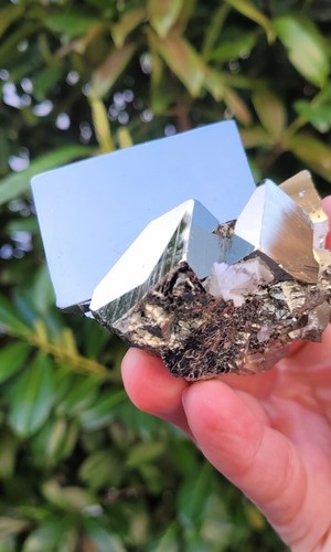 Pyrit stufe - ,