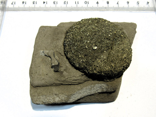 Pyrit sonne linse knolle - knolle, in