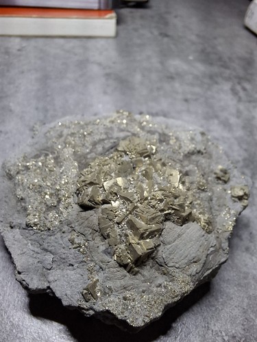 Pyrit stufe auf schiefermatrix - stufe,