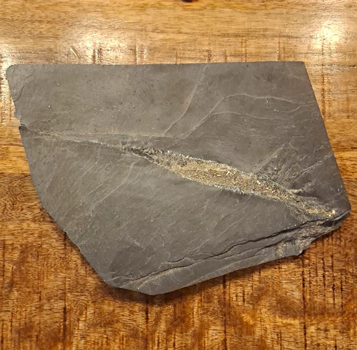 Pyrit schiefer 20x15cm - pyrit, in
